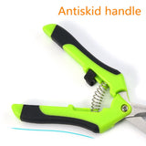 Pruning Shears