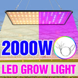 Grow Light Led Full Spectrum Lamp 1500W 2000W