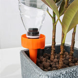 Self-Watering Kits 12Pcs/6pcs