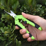 Pruning Shears