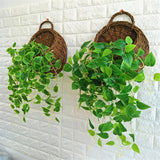 Wall Hanging Flower Planter