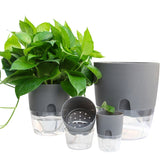 Self Watering Planter