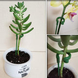 Plastic Plant Supports