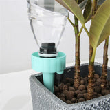 Self-Watering Kits 12Pcs/6pcs