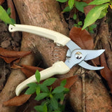 Pruning Shears