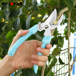 Pruning Shears