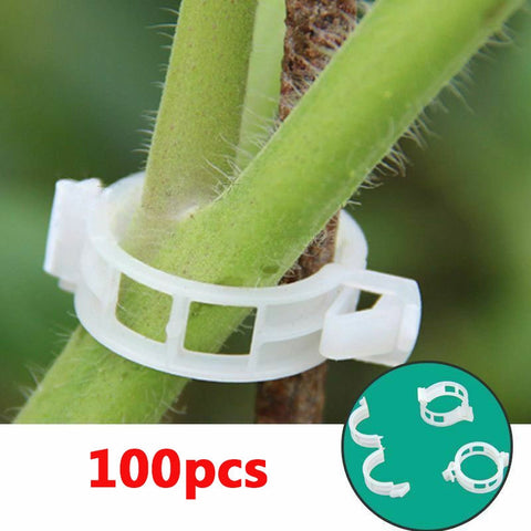 Plant Support Clips